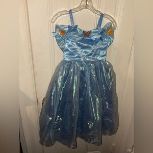 Cinderella dress